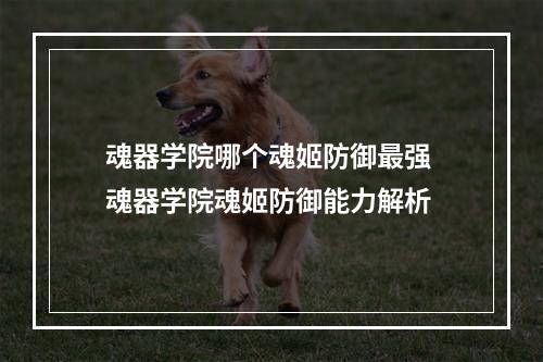 魂器学院哪个魂姬防御最强 魂器学院魂姬防御能力解析