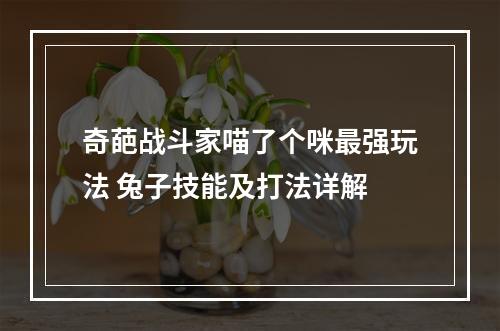 奇葩战斗家喵了个咪最强玩法 兔子技能及打法详解