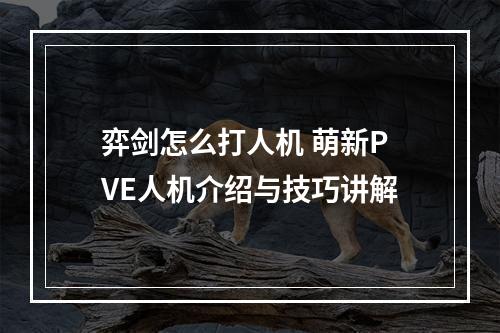 弈剑怎么打人机 萌新PVE人机介绍与技巧讲解