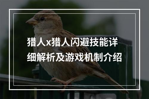 猎人x猎人闪避技能详细解析及游戏机制介绍