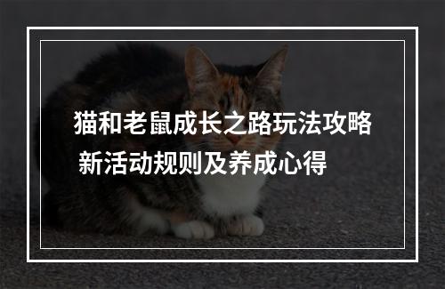 猫和老鼠成长之路玩法攻略 新活动规则及养成心得