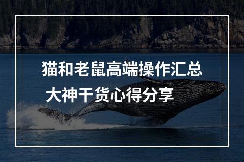 猫和老鼠高端操作汇总 大神干货心得分享