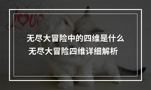 无尽大冒险中的四维是什么 无尽大冒险四维详细解析