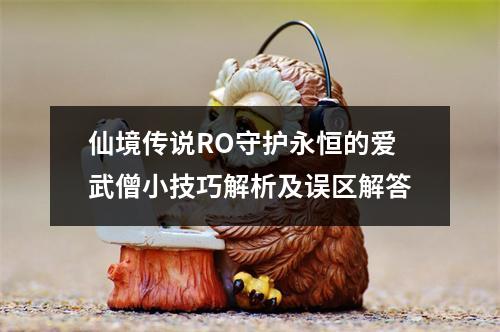 仙境传说RO守护永恒的爱武僧小技巧解析及误区解答