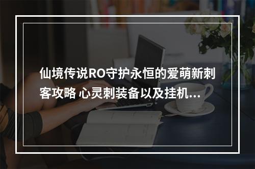 仙境传说RO守护永恒的爱萌新刺客攻略 心灵刺装备以及挂机流程一览