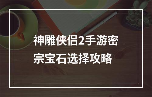 神雕侠侣2手游密宗宝石选择攻略