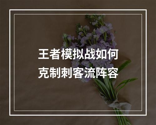 王者模拟战如何克制刺客流阵容