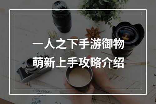 一人之下手游御物萌新上手攻略介绍