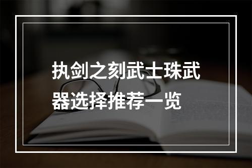 执剑之刻武士珠武器选择推荐一览