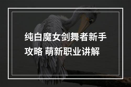 纯白魔女剑舞者新手攻略 萌新职业讲解