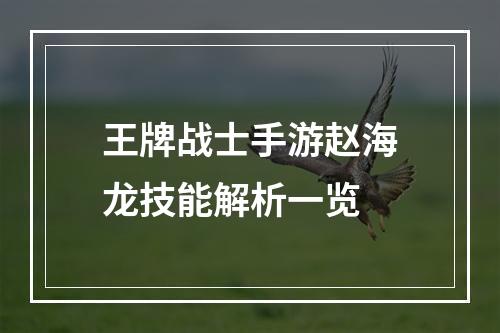 王牌战士手游赵海龙技能解析一览