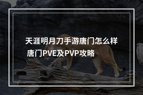 天涯明月刀手游唐门怎么样 唐门PVE及PVP攻略