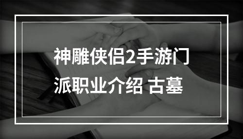 神雕侠侣2手游门派职业介绍 古墓