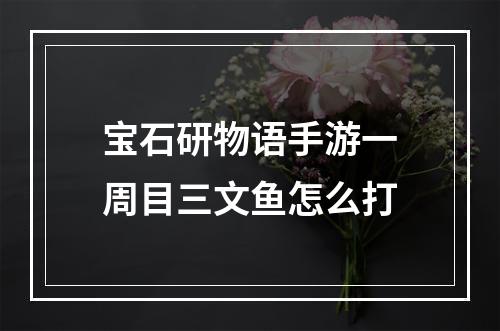 宝石研物语手游一周目三文鱼怎么打