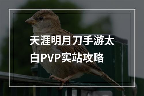 天涯明月刀手游太白PVP实站攻略