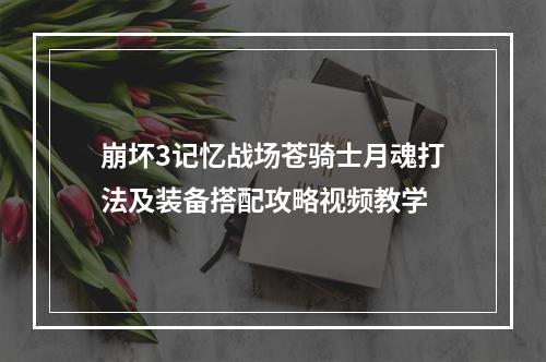 崩坏3记忆战场苍骑士月魂打法及装备搭配攻略视频教学