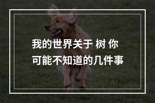 我的世界关于 树 你可能不知道的几件事