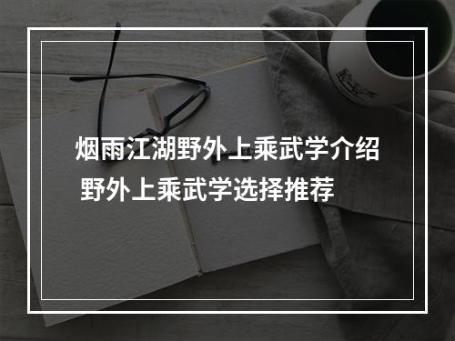 烟雨江湖野外上乘武学介绍 野外上乘武学选择推荐