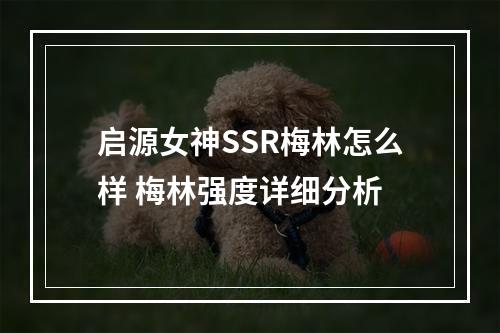 启源女神SSR梅林怎么样 梅林强度详细分析