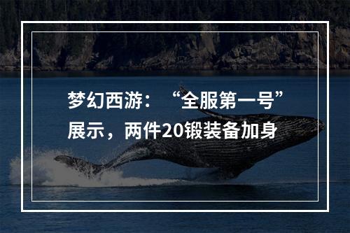 梦幻西游：“全服第一号”展示，两件20锻装备加身