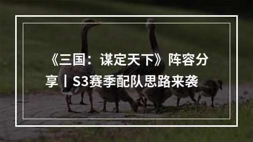 《三国：谋定天下》阵容分享丨S3赛季配队思路来袭