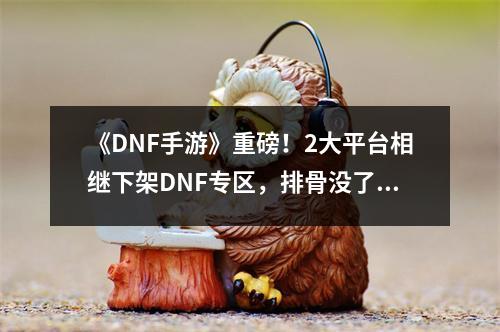 《DNF手游》重磅！2大平台相继下架DNF专区，排骨没了？