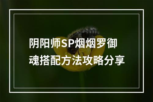 阴阳师SP烟烟罗御魂搭配方法攻略分享