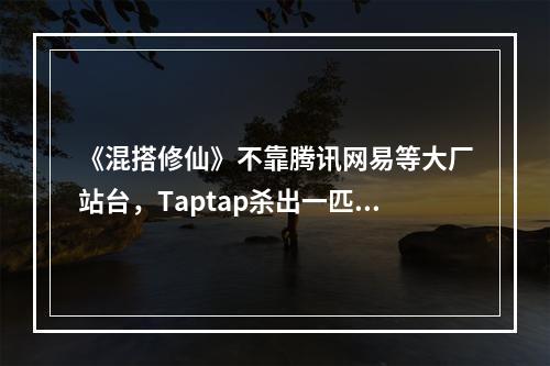 《混搭修仙》不靠腾讯网易等大厂站台，Taptap杀出一匹大黑马！