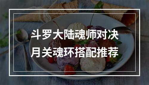 斗罗大陆魂师对决月关魂环搭配推荐