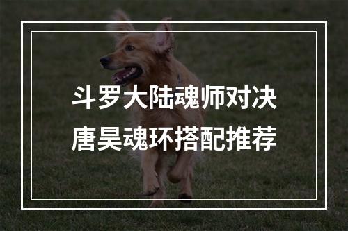 斗罗大陆魂师对决唐昊魂环搭配推荐