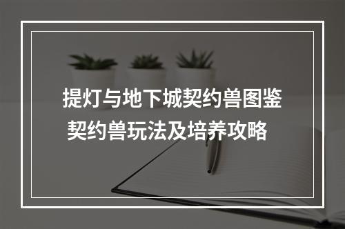 提灯与地下城契约兽图鉴 契约兽玩法及培养攻略