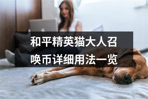 和平精英猫大人召唤币详细用法一览