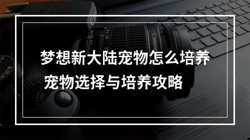 梦想新大陆宠物怎么培养 宠物选择与培养攻略