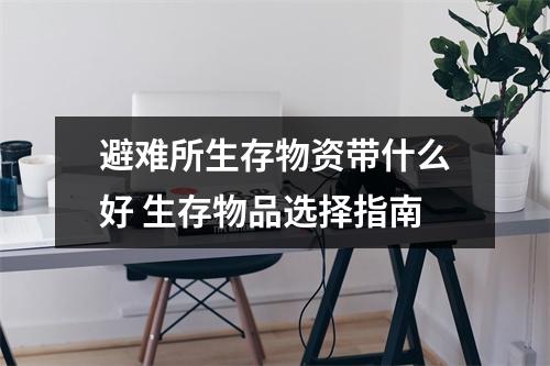 避难所生存物资带什么好 生存物品选择指南