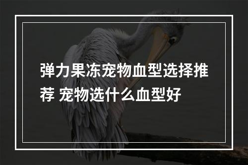 弹力果冻宠物血型选择推荐 宠物选什么血型好