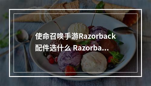 使命召唤手游Razorback配件选什么 Razorback最强配件和技能搭配攻略