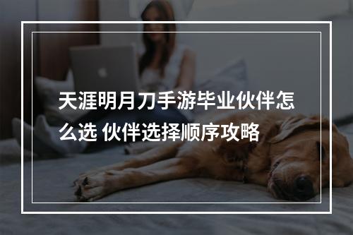 天涯明月刀手游毕业伙伴怎么选 伙伴选择顺序攻略