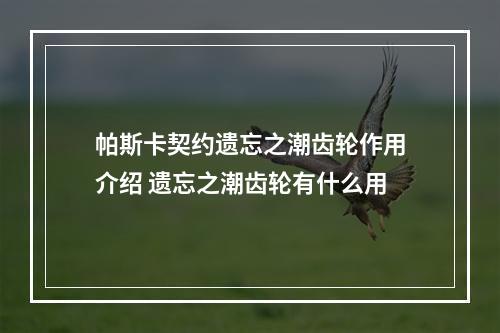 帕斯卡契约遗忘之潮齿轮作用介绍 遗忘之潮齿轮有什么用