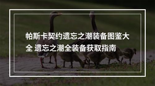 帕斯卡契约遗忘之潮装备图鉴大全 遗忘之潮全装备获取指南