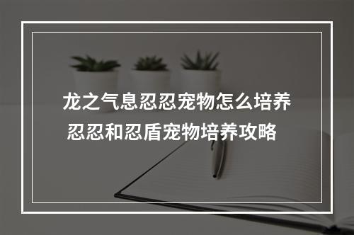 龙之气息忍忍宠物怎么培养 忍忍和忍盾宠物培养攻略