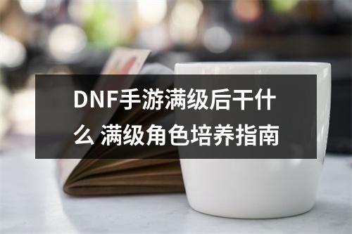 DNF手游满级后干什么 满级角色培养指南