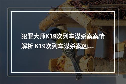 犯罪大师K19次列车谋杀案案情解析 K19次列车谋杀案凶手介绍