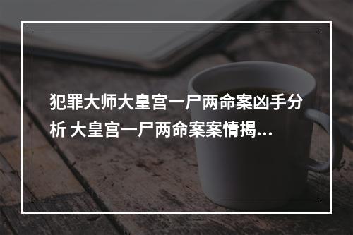 犯罪大师大皇宫一尸两命案凶手分析 大皇宫一尸两命案案情揭晓