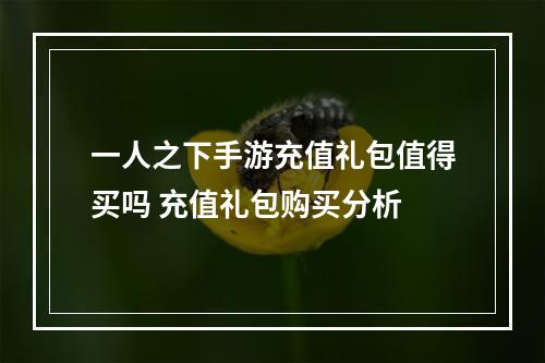 一人之下手游充值礼包值得买吗 充值礼包购买分析