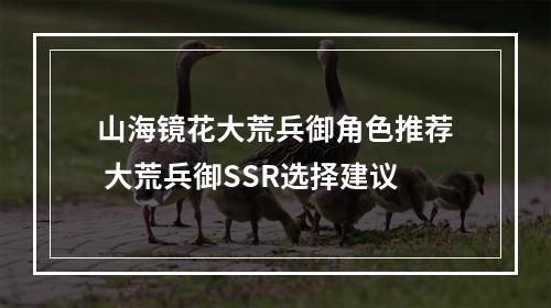 山海镜花大荒兵御角色推荐 大荒兵御SSR选择建议