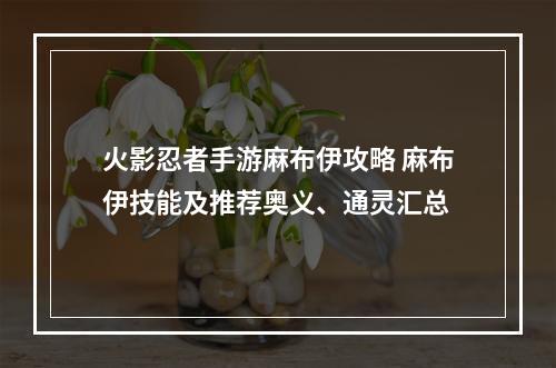 火影忍者手游麻布伊攻略 麻布伊技能及推荐奥义、通灵汇总