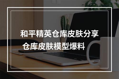 和平精英仓库皮肤分享 仓库皮肤模型爆料