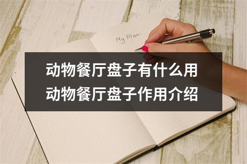 动物餐厅盘子有什么用 动物餐厅盘子作用介绍