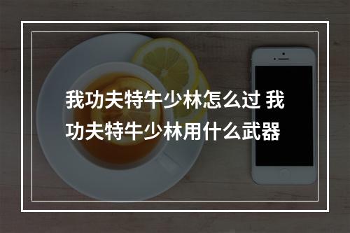 我功夫特牛少林怎么过 我功夫特牛少林用什么武器