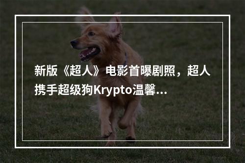 新版《超人》电影首曝剧照，超人携手超级狗Krypto温馨登场